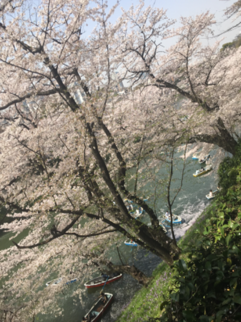花子のプロフィール・評判｜家事代行/家政婦マッチングサイト『タスカジ』